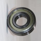 Bearing NTN Japan 6204zz 6204DDU 6204llu 6204RS 6205 6208